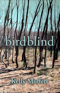 Group of trees with no leaves, with text birdblind, Kelly Moffett